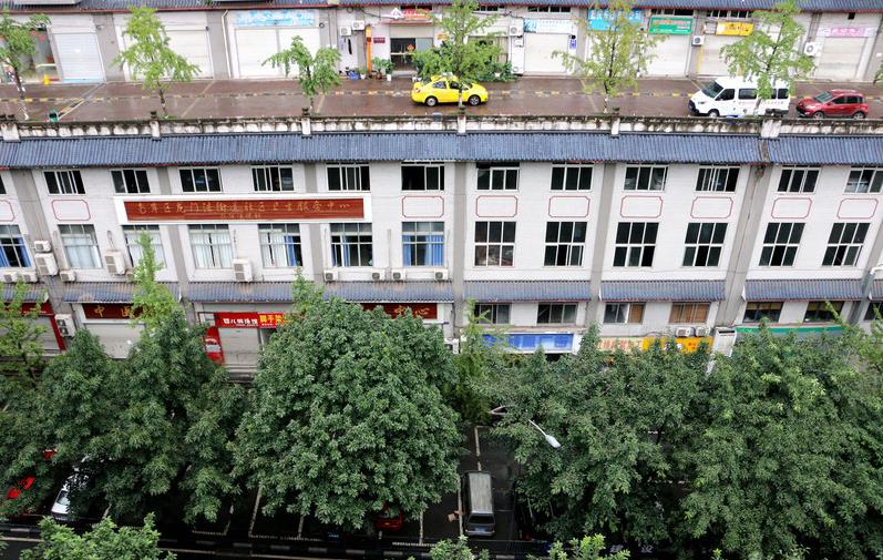 Road on building roof