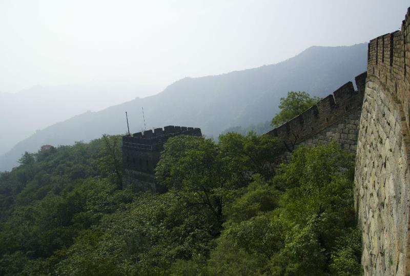 The 11th watchtower on a branch wall
