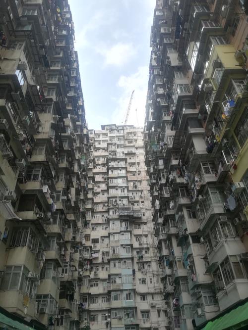怪兽大厦西庭院