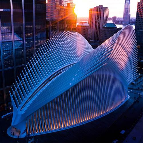 The Oculus